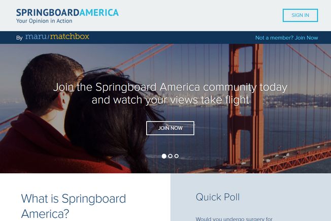 Springboard-america-homepage springboard america homepage