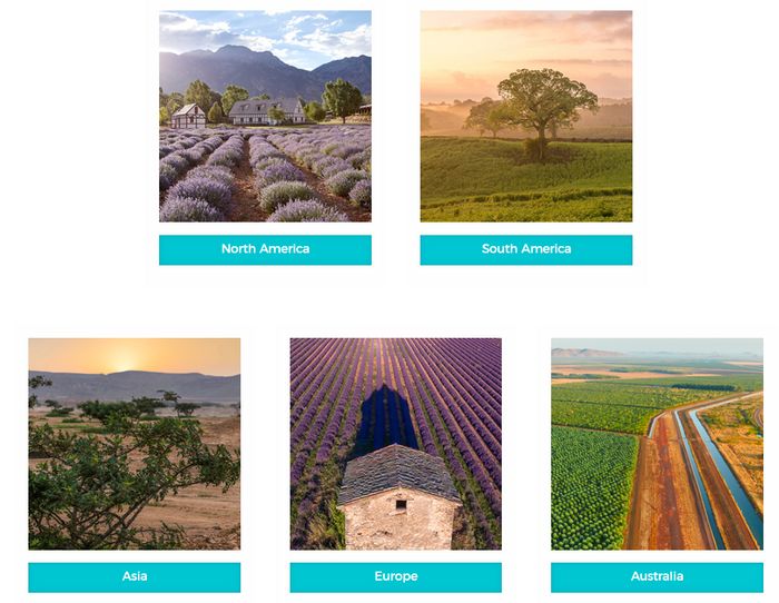 young-living-global-farms young living global farms