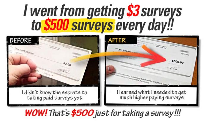 take-surveys-for-cash-fake-income-proof take surveys for cash income proof