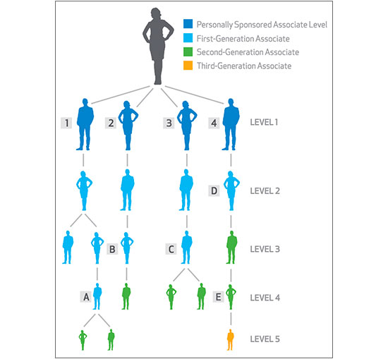 Asea Compensation Plan Diagram Asea Compensation Plan Diagram
