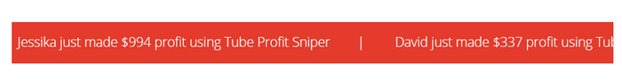tube profit sniper income proof