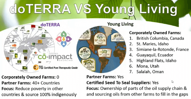 doterra vs young living