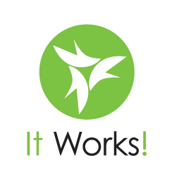it works review