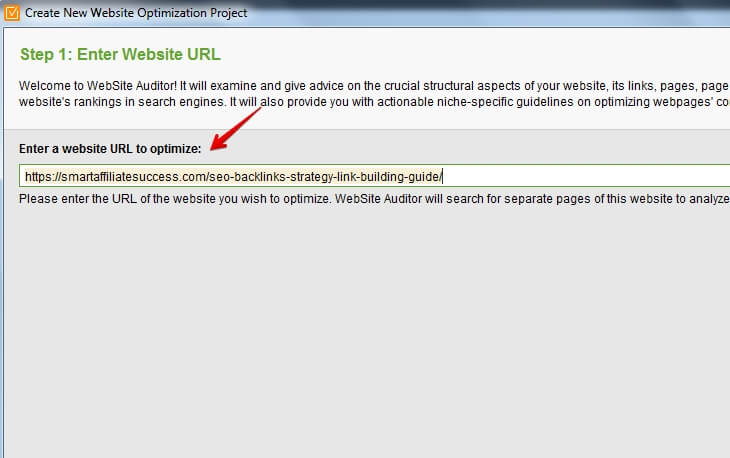 1-site-auditor-enter-url-2 site auditor enter url