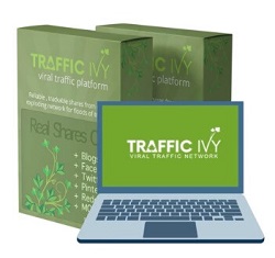 Traffic Ivy Review Image Summary