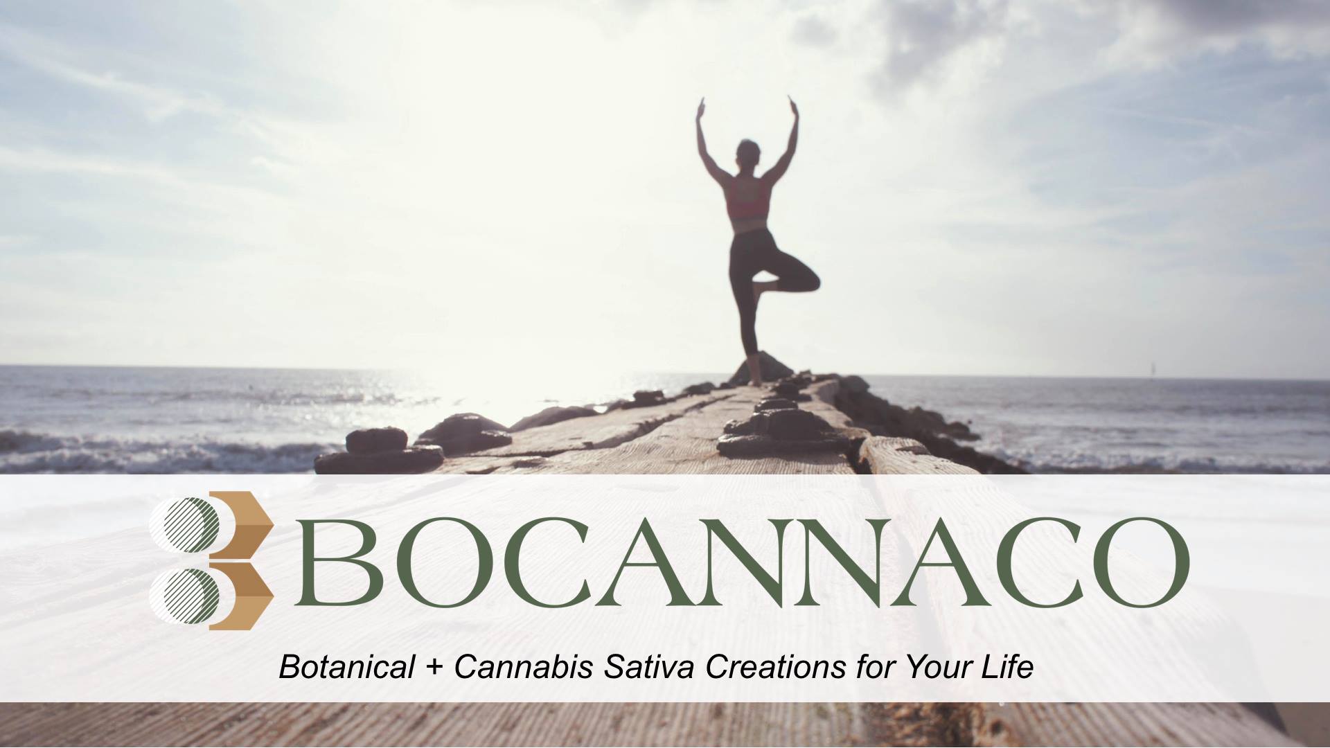 Is Bocanacco a Scam - Landing Page Is Bocanacco a Scam - Landing Page