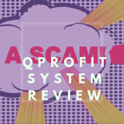 QProfit System Review Image Summary