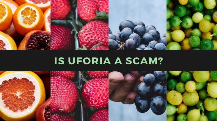 Is Uforia a Scam