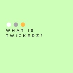 What Is Twickerz Image Summary