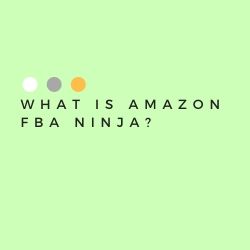 What Is Amazon FBA Ninja Image Summary