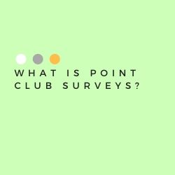 What Is Point Club Surveys Image Summary