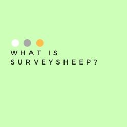 What Is SurveySheep Image Summary