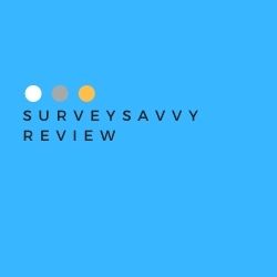 SurveySavvy Review Image Summary