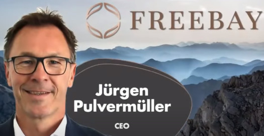 What Is Freebay - Jurgen Pulvermuller