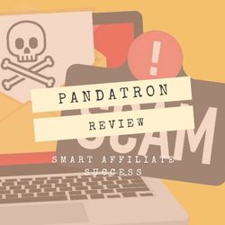 What Is Pandatron Image Summary